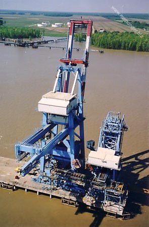 Luisiana Cranes